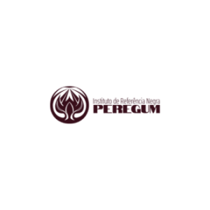 Leia mais sobre o artigo Instituto Peregum tem vaga para coordenar área de Mobilização de Recursos