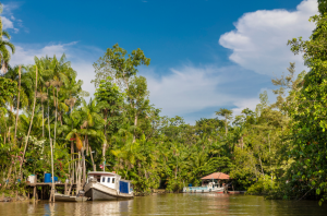 Leia mais sobre o artigo Fundo Hydro lança edital para investir projetos comunitários no Pará