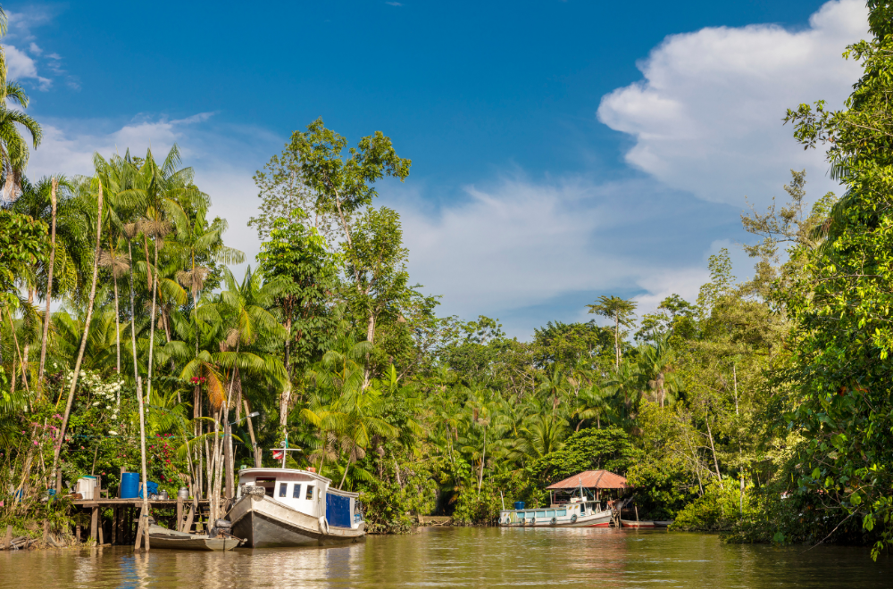 No momento, você está visualizando Fundo Hydro lança edital para investir projetos comunitários no Pará