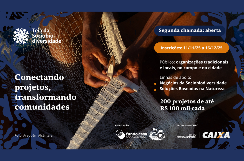 No momento, você está visualizando Fundo Casa lança nova chamada da Teia da Sociobiodiversidade