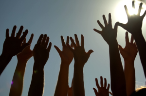 edital Plataforma MROSC